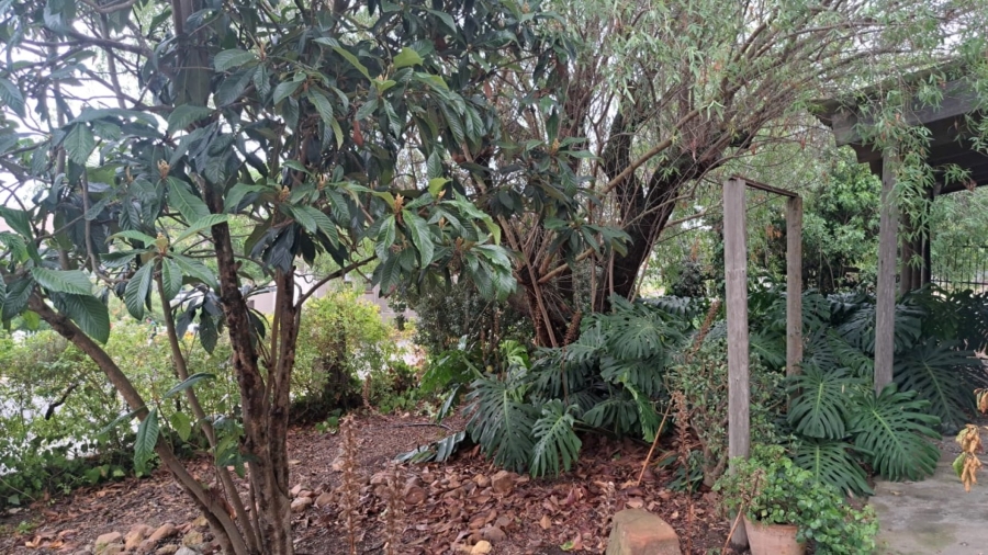 5 Bedroom Property for Sale in Caledon Western Cape